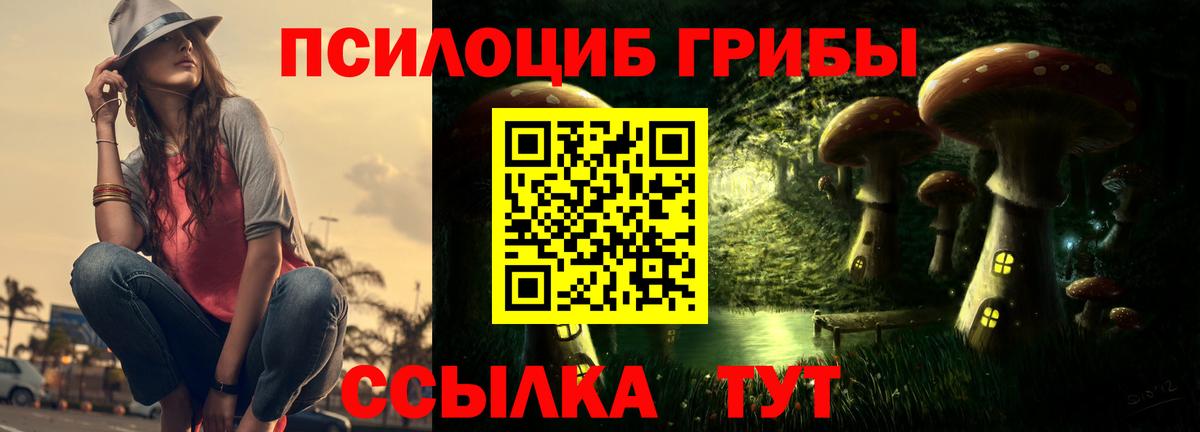 Псилоцибиновые грибы Psilocybine cubensis Шахты